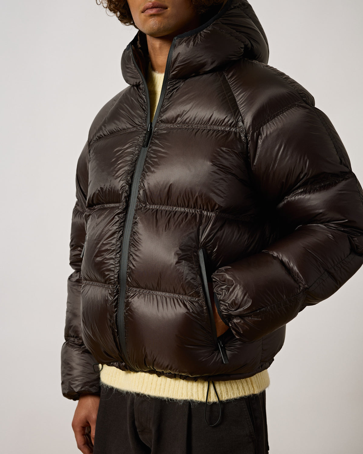 Translucent Reversible Down Puffer Jacket