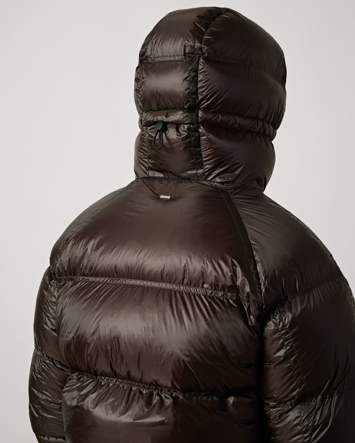 Translucent Reversible Down Puffer Jacket